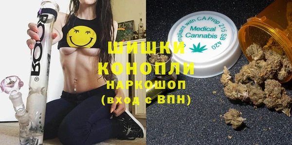 дживик Балахна