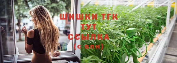 дживик Балахна