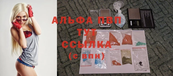 дживик Балахна