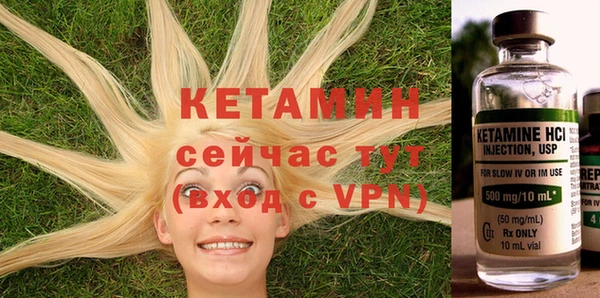 PSILOCYBIN Белокуриха