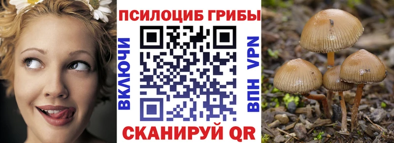 где купить наркоту  Бутурлиновка  Галлюциногенные грибы Psilocybine cubensis 